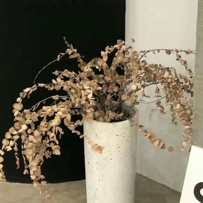 兽设拟人化设计实用技巧福瑞交流群